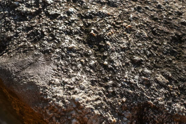 Sert taş yüzeyi doğal granit kaya dokusunu gösteriyor. Kahverengi ve gri mineral arkaplanlı jeoloji deseninin yakından incelemesi katı ve dünyevi bir his yaratıyor.