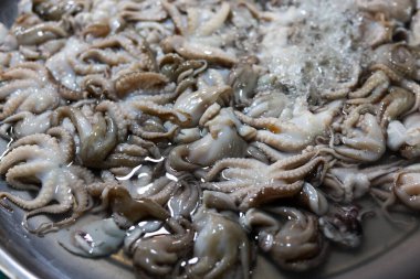 Taze çiğ küçük ahtapot deniz ürünleri, lezzetli besin maddeleri. Asya pazarında yakalamaya yakın, hazırlık için hazır, geleneksel mutfağın popüler seçimi.