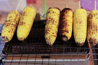 Koçanda ızgara mısır, mangal ızgarasında kızartılıyor. Lezzetli sarı vejetaryen sokak yemekleri, lezzetli görünüyor ve yaz partisi için hazır.