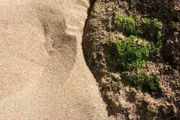 Sakin, doğal arka plan yeşil yosunlu sert kayalara karşı pürüzsüz kum kontrastını gösteriyor. Dünyadan gelen bu barışçıl doku doğal denge ve zen hissi yaratıyor.