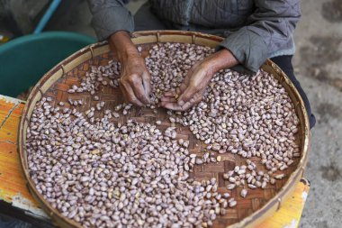 Geleneksel sepetteki çiğ kaplan çizgili fıstığı ayıran odaklanmış işçi eli. Gıda tarımındaki çalışkan süreç, pazar için doğal ve organik bileşenler hazırlamak
