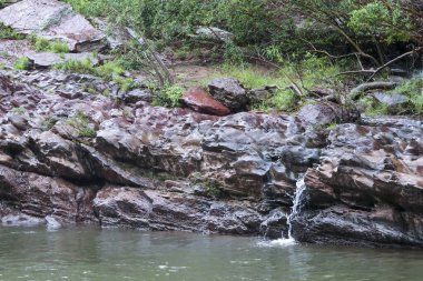 Huzurlu doğal manzara, yosun bitkisi ve temiz su akıntısıyla kayalık kayalıkları gösteriyor. Huzurlu nehir havuzuna doğru akıyor. Vahşi ormanda huzur verici bir atmosfer var.