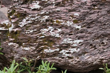 Büyük yıpranmış kaya taşından pürüzlü yüzey çatlaklar ve yeşil çimlerin yakınındaki kahverengi yüzeyi kaplayan liken eski ve kalıcı doğa hissini gösteriyor.