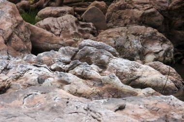 Sert taş dokusu ve doğal kaya oluşumu sert yüzey ve soyut dağ görüşünde dayanıklılık ve dayanıklılık ile yıpranmış jeoloji örüntüsünü gösteriyor.