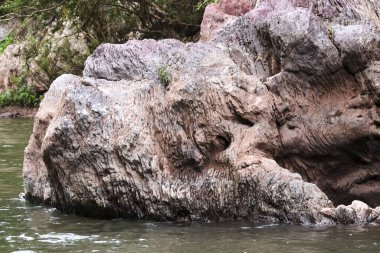 Büyük desenli kaya oluşumu kısmen nehir suyuna batırılmış engebeli yüzey ve doğal erozyon yeşil ağaçların yakınındaki sakin açık havada eski jeolojik katmanları gösteriyor.