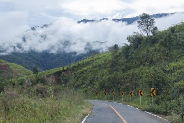 Kavisli virajlı ve yeşil orman tepesi olan huzurlu dağ yolu sisli gökyüzü doğa manzarası yağmurlu mevsim tropikal kırsal bölgelerinde manzaralı yolculuk ve sakin seyahat atmosferini gösteriyor