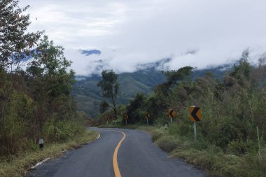 Sakin, dolambaçlı dağ yolu asfalt yolu. Etrafı yemyeşil tropikal ormanlarla ve sisli gökyüzü manzaralarıyla çevrili. Huzurlu, sakin bir atmosferle yolculuk.