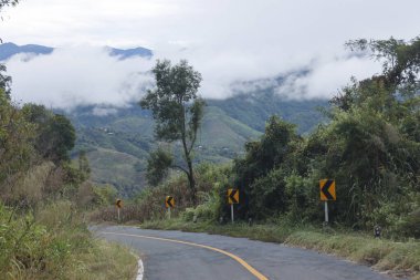 Yüksek tepeleri kaplayan sisli, yeşil dolambaçlı yollar sakin, asfalt yol boyunca sakin yolculuklar sarı eğri uyarı işaretleriyle güvenli ulaşımı gösteriyor.