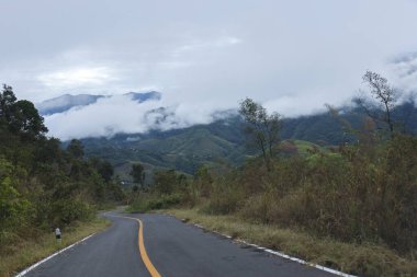 Manzaralı asfalt yolu sisli dağ manzarasında dönüyor. Yeşil tepe tepelerini kaplayan sis ve bulutlu gökyüzü yolculuk için sakin bir atmosfer gösteriyor.