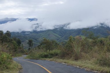 Dolambaçlı asfalt yol, sisli dağ zirvesine doğru kıvrılarak sakin bir yolculuk ve sisli bir sabahta sakin bir yalnızlık taşır.