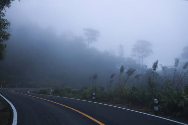 Sisli dağ asfalt yolu, sakin bir atmosfer ve kasvetli bir günde soğuk hava ile tropikal ormanlarda kıvrılarak yeşil doğayı kaplayan yoğun sisli bir hava var.
