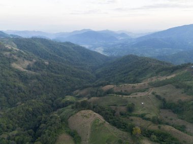 Yeşil ormanı ve huzurlu vadiyi kaplayan sisli dağ tepeleri ile sakin bir manzara. Huzurlu doğa manzarası sunar. Puslu bir atmosfer ve dramatik yamaç manzarası.