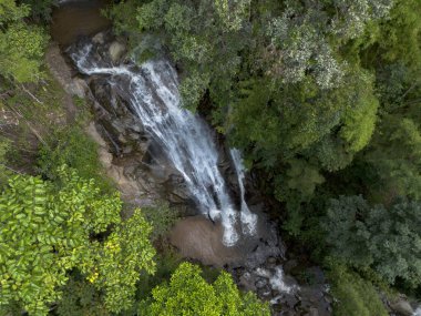 Serin hava manzarası kayalık kayalıklardan yuvarlanan güçlü beyaz şelaleyi gösteriyor. Etrafı yemyeşil tropikal orman doğasıyla çevrili. Huzur hissi uyandırıyor.