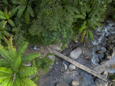 En tepeden aşağıya sakin tropikal orman yemyeşil yapraklar, kayalık yatağın üzerinde vahşi akıntı, basit ahşap köprü sakin su, barışçıl atmosfer çevresindeki doğa manzarası güzelliği