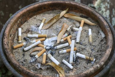 Paslı kül tablası dolusu kullanılmış sigara izmariti, kirli kum yüzeyinde zehirli kül ve kuru yaprak atığı iğrenç bağımlılık alışkanlığını ve sağlıksız yaşam tarzı kavramını gösteriyor.