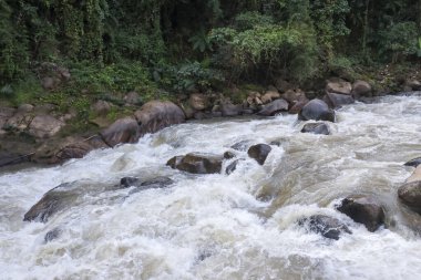 Kaya taşının üzerinden akan güçlü akıntı köpük püskürtücü köpüğe neden oluyor. Güzel, canlandırıcı doğa manzarası orman ortamı.