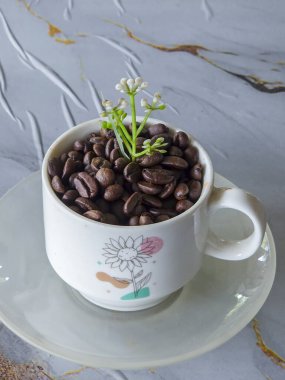 Beyaz seramik kahve fincanıyla doldurulmuş kavrulmuş kahve çekirdeği mermer masa arkasında küçük bir çiçek bitkisi taze bir his ve sabah kahvesi hissi veriyor.