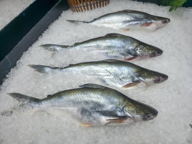 Markette ezilmiş taze çiğ balık ve sağlıklı deniz ürünleri satışta. Temiz ve iştah açıcı görünüyor.