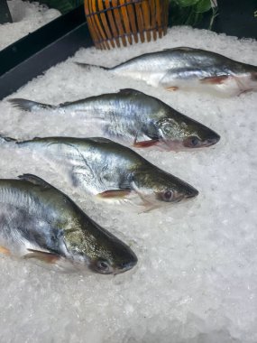 Yerel deniz ürünleri pazarında taze taze taze taze taze taze taze taze çiğ yayın balığı müşterinin lezzetli besinlerle sağlıklı yemek pişirmesini bekliyor.