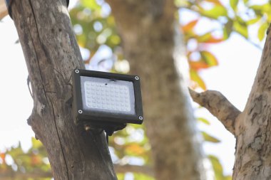 Ağaç gövdesine monte edilmiş küçük açık hava güneş LED spot ışığı bahçenin güvenlik ışıklandırmasını huzur verici doğal ortam ve bulanık yeşil yapraklı arka planda enerji tasarrufu teknolojisiyle sağlar