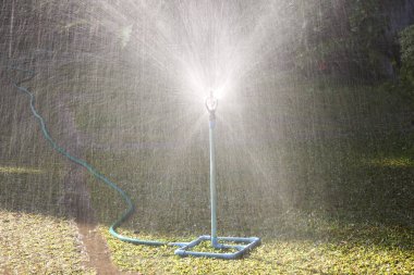 Otomatik fıskiyelerin serinletilmesi parlak güneşli çimenler üzerine serin su püskürtmesi neşeli bir yaz bahçesi yaratarak sıcaktan korunma ve mükemmel arka bahçe için sağlıklı yeşil çimenler sağlanmasını sağlar.