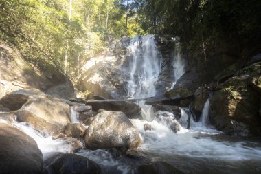 Serene şelalesi yemyeşil ormanda büyük kayaların üzerinden akıyor. Ormanda çağlayarak akan tatlı suyla bu güzel doğal manzara huzur verici bir manzara yaratır.