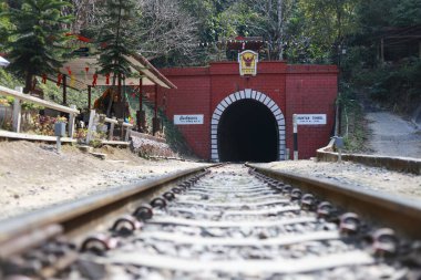 Kırmızı tuğlalı tünel girişine giden tren yolunun düşük açılı perspektifi. Dağ ormanlarındaki tarihi yerler gizemli bir yolculuk duygusunu çağrıştırıyor.