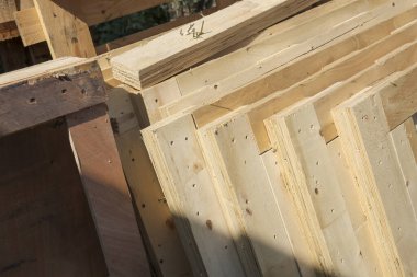 Düşük açılı ahşap kaplama ve çiğ kereste desenli kirişler parlak güneş ışığı altında sağlam kırsal bir çerçeve oluşturarak çatı marangozluğunun mimari yapısını gösteriyor.