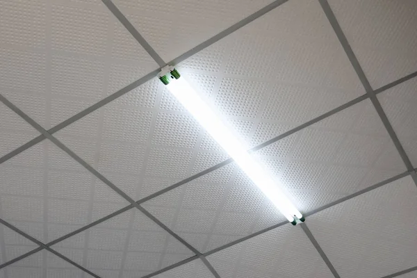 Beyaz damlalar üzerinde parlayan tek bir floresan boru ışığı ofis veya hastane odasındaki steril atmosferi gösteriyor.