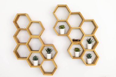 Çağdaş ahşap altıgen bal peteği dizaynı ve saksıda küçük bitkiler. Şık bir ev için güzel bir iç dekorasyon, temiz ve doğal bir his yaratıyor.