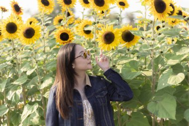 Güzel ayçiçeği tarlasında mutlu bir Asyalı kadın. Yazın doğadan zevk alan kişinin portresi. Çiçek açan sarı çiçekli huzurlu bir an.