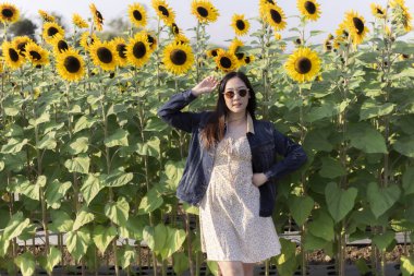 Uçsuz bucaksız ayçiçeği tarlasında poz verirken gülümseyen güzel Asyalı kadın. Doğada güneşli bir yaz gününün tadını çıkarıyor. Açık hava macerası için günlük kıyafet ve ceket giyiyor.