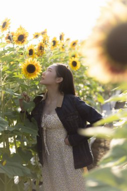 Mutlu genç Asyalı kadın çiçek açan tarlada güzel sarı ayçiçeği kokusu alıyor. Barışçıl, güzel bir hayat tarzı. Yazın dışarıda eğlenen bir insan portresi.
