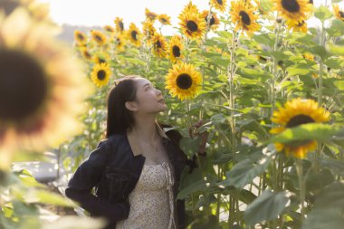 Mutlu genç Asyalı kadın canlı sarı ayçiçeği tarlasında güzel bir yaz gününün tadını çıkarıyor. Çiçeklere sakin bir ifadeyle bakıyor, doğayla bağ kuruyor.