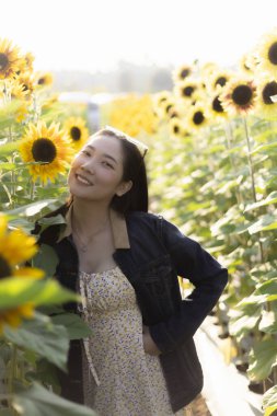 Mutlu Asyalı kadın yaz boyunca güzel ayçiçeği tarlasında gülümsüyor. Neşeli kadın doğada güzel bir günün tadını çıkarıyor, huzurlu ve kaygısız bir yaşam tarzı anı.