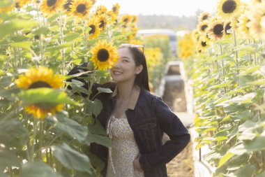 Güzel ayçiçeği tarlasında neşeyle gülümseyen mutlu genç kadın. Kameralı kadın fotoğrafçı güneşli yaz gününde doğanın tadını çıkarıyor, seyahat ve yaşam tarzı kavramı
