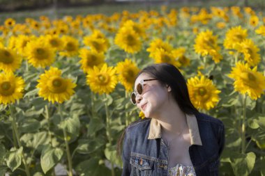 Mutlu gülümseyen Asyalı kadın sarı ayçiçeği tarlasında güzel bir yaz gününün tadını çıkarıyor. Doğadaki bir kızın portresi, açık havada canlı bir çiçeğin arasında dinleniyor.