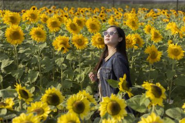 Mutlu sakin kadın sarı ayçiçeği tarlasında duruyor. Genç insan, aydınlık yaz gününde doğanın ve güzel çiçek bahçesinin tadını çıkarıyor. Huzurlu ve sakin hissediyor.