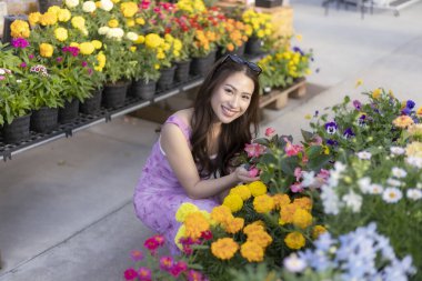 Açık hava bahçesinden renkli çiçek alan mutlu bir kadın. Genç ve güzel bir yetişkin baharda fidanlıktan taze saksı seçiyor.