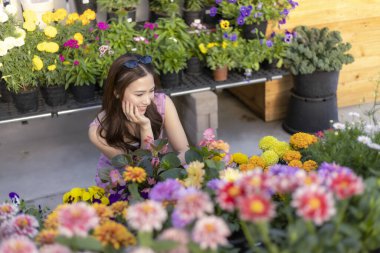 Düşünceli genç Asyalı kadın renkli çiçek almak için bahçe bakımevinden alışveriş yapıyor. Çömelmiş güzel bitkilere bakıyor, düşünceli bir şekilde evi için seçimler yapıyor.