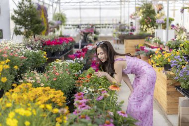 Renkli çiçek ve büyük seranın içinde bitki alışverişi yapan mutlu güzel kadın. Huzurlu ve neşeli bir an. Doğanın ve baharın tadını çıkarıyorum bahçede.