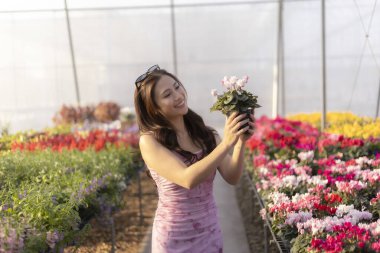 Mutlu gülümseyen Asyalı kadın pembe çiçek tutuyor. Genç bir yetişkin çiçek bahçesinde çiçeklerle dolu güzel bir bitkinin tadını çıkarıyor.