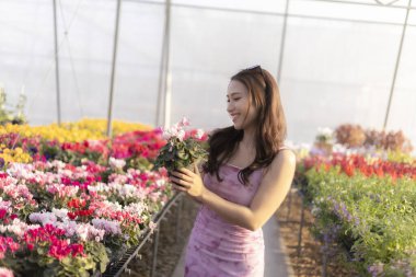 Mutlu gülümseyen Asyalı kadın çiçekleri renkli seranın içinde tutuyor. Bu genç yetişkin, bahçesinde yeni açan güzel çiçekleri seçerek çocuk odasında eğleniyor.