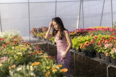 Pembe elbiseli düşünceli kadın. Parlak bitki odasındaki renkli çiçeklerle çevrili. Güneşli serada bahçıvanlık yaparken düşünceli bir şekilde bitkilere bakıyor.