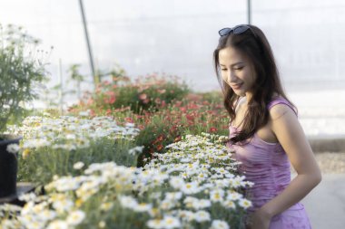 Mutlu gülümseyen Asyalı kadın doğanın tadını çıkarıyor, bahçe serasındaki beyaz çiçek bitkisine bakıyor. Aydınlık bir günde alışveriş yaparken çiçeklerin ve bahçelerin değerini bilen sakin bir insan.
