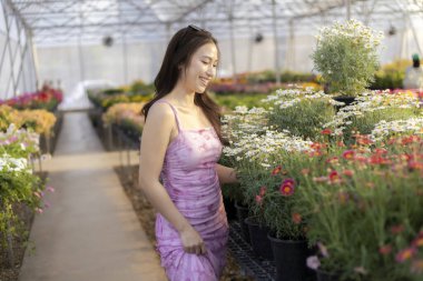 Mor elbiseli neşeli, gülümseyen Asyalı kadın çiçek ve bitki alışverişi yapıyor. Parlak sera koridorunda yürüyen mutlu insan doğada boş zamanların zevkini çıkarıyor.