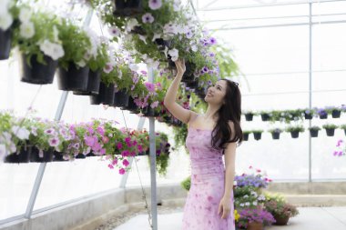 Seranın içinde pembe elbiseli güzel çiçeğe hayran olan mutlu Asyalı kadın. Bu müşteri hobisinden zevk alıyor, sallanan sepetteki renkli petunyaya bakıyor.