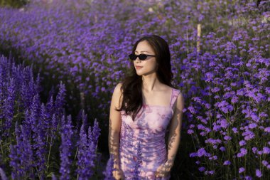 Mor elbiseli ve güneş gözlüklü sakin genç Asyalı kadın lavanta çiçeklerinin güzel tarlasında duruyor. Doğanın tadını çıkaran ve manzaralı bahçede gezen bir kadının huzurlu portresi.