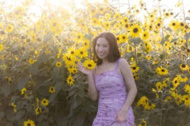 Yaz boyunca güzel ayçiçeği tarlasında gülümseyen mutlu Asyalı kadın. Sarı çiçeklerle çevrili sıcak güneş ışığını ve güzel doğayı sever. Neşeli bir portre