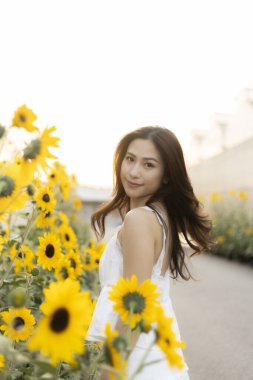 Beyaz elbiseler içinde mutlu bir şekilde gülümseyen genç, güzel Asyalı kadın gün batımında ayçiçeği tarlasında duruyor. Neşeli ve huzurlu bir yaz portresi. Doğada yaşayan insanların.